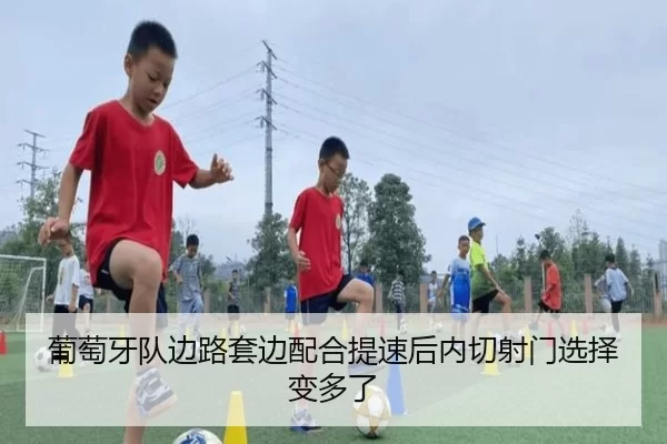 pu-tao-ya-dui-bian-lu-tao-bian-pei-he-ti-su-hou-nei-qie-she-men-xuan-ze-bian-duo-le-2-758.jpg